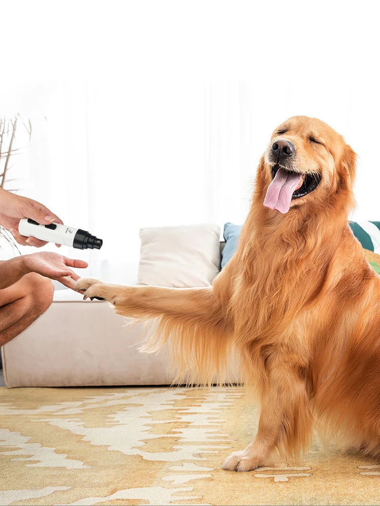 Nail Hero Nail Grinder PT02 – Dopaman™