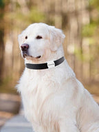 Pet Spa Grooming Tool PT02 – Dopaman™