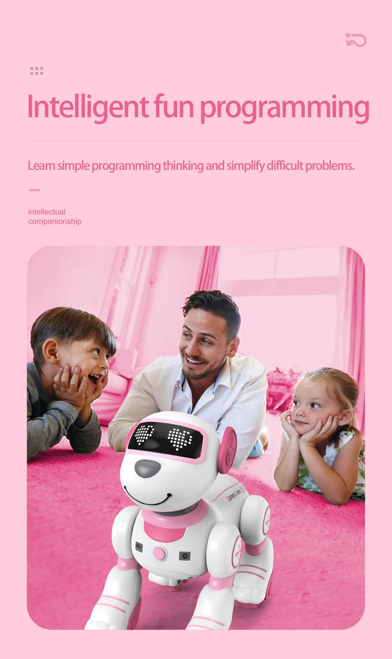 Future Engineer Robot Dog RO01 – Dopaman™