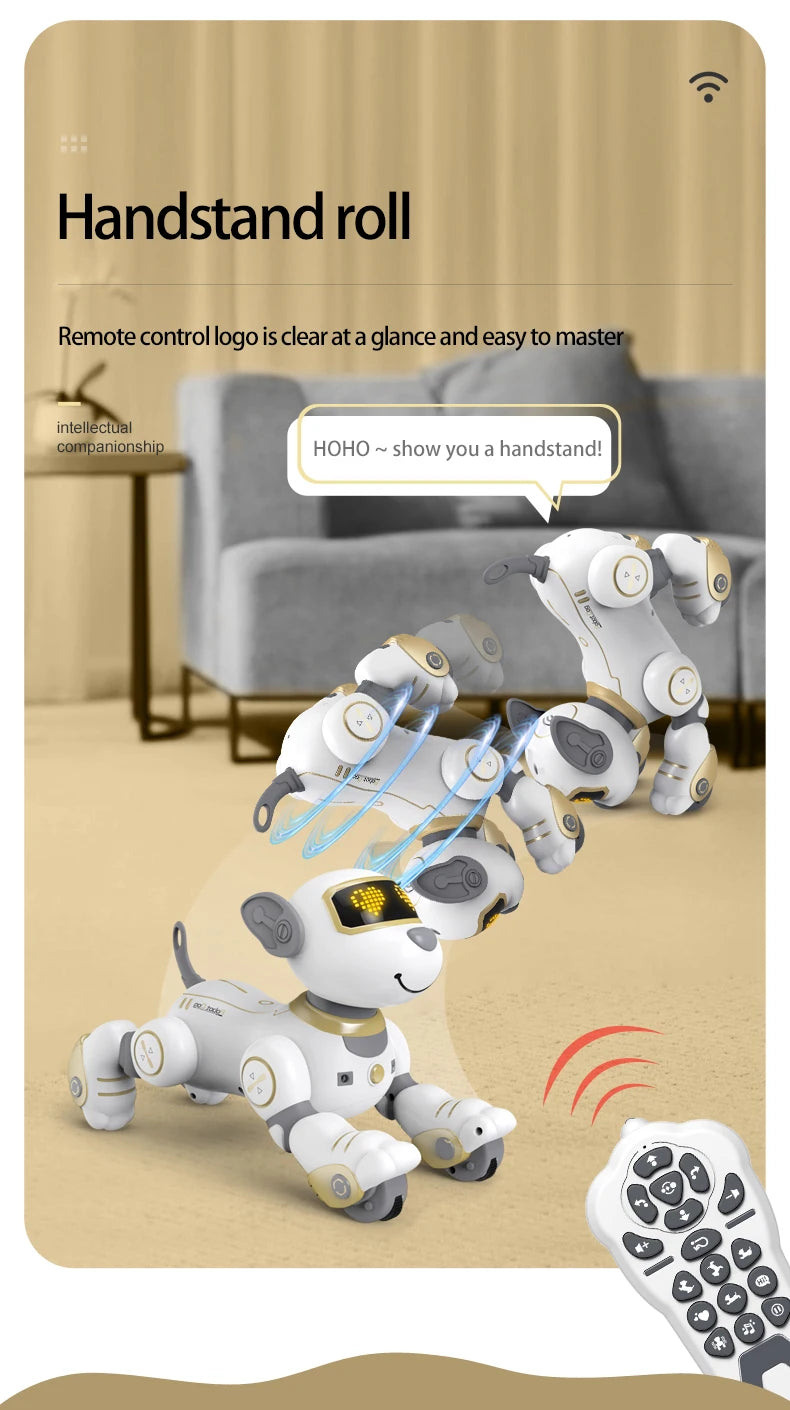 Future Engineer Robot Dog RO01 – Dopaman™