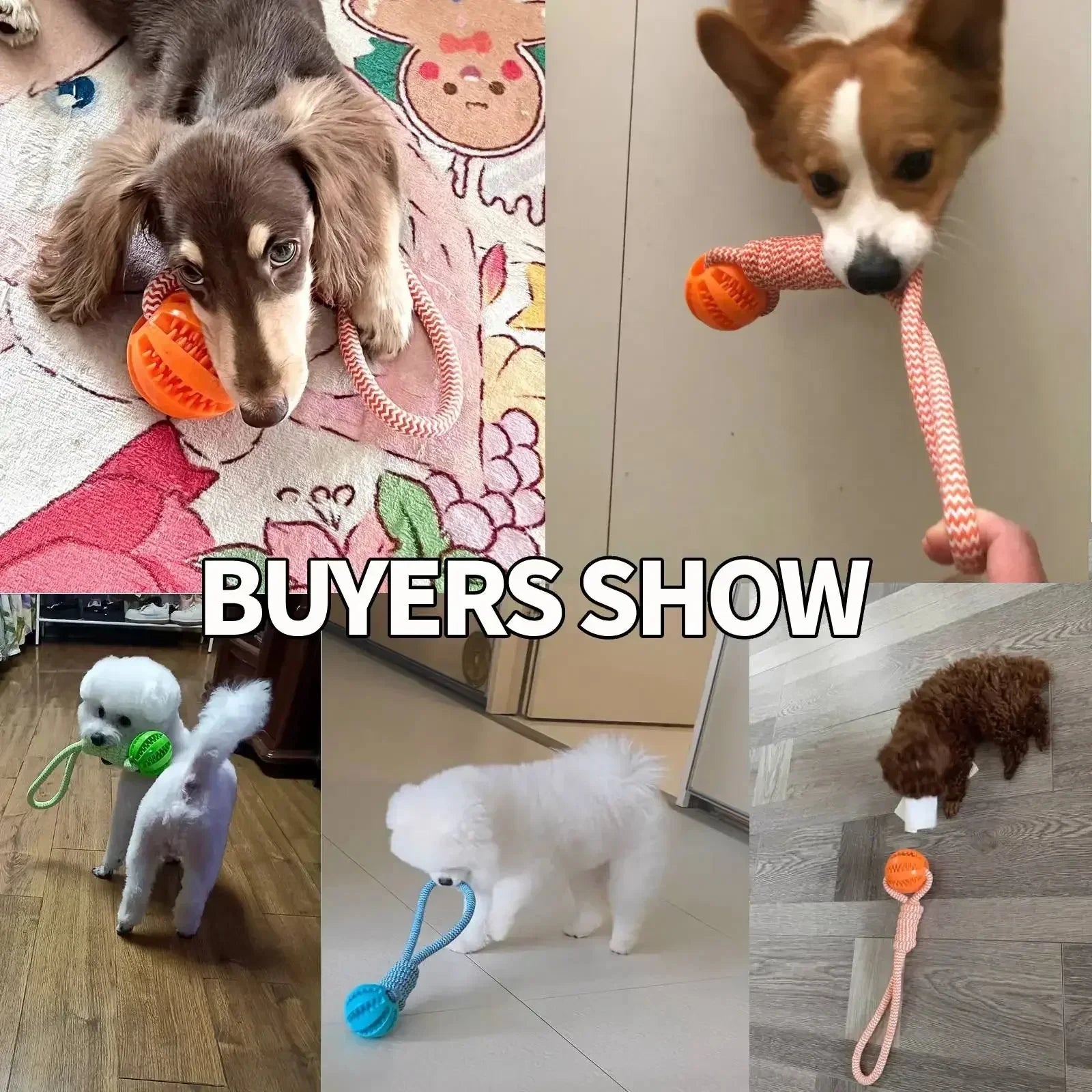 Chew Master Chew Toy PT01 – Dopaman™