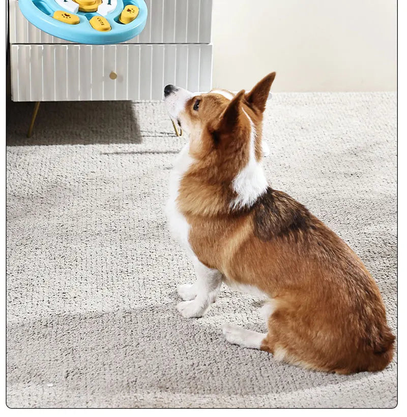 Chew Master Dog Toy PT01 – Dopaman™