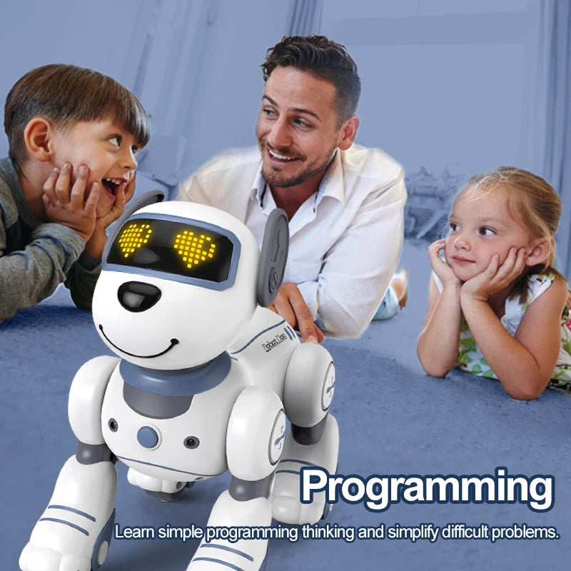 Future Engineer Robot Dog RO01 – Dopaman™