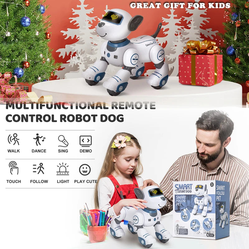 Future Engineer Robot Dog RO01 – Dopaman™