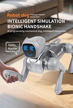 Future Engineer Robot Dog RO01 – Dopaman™