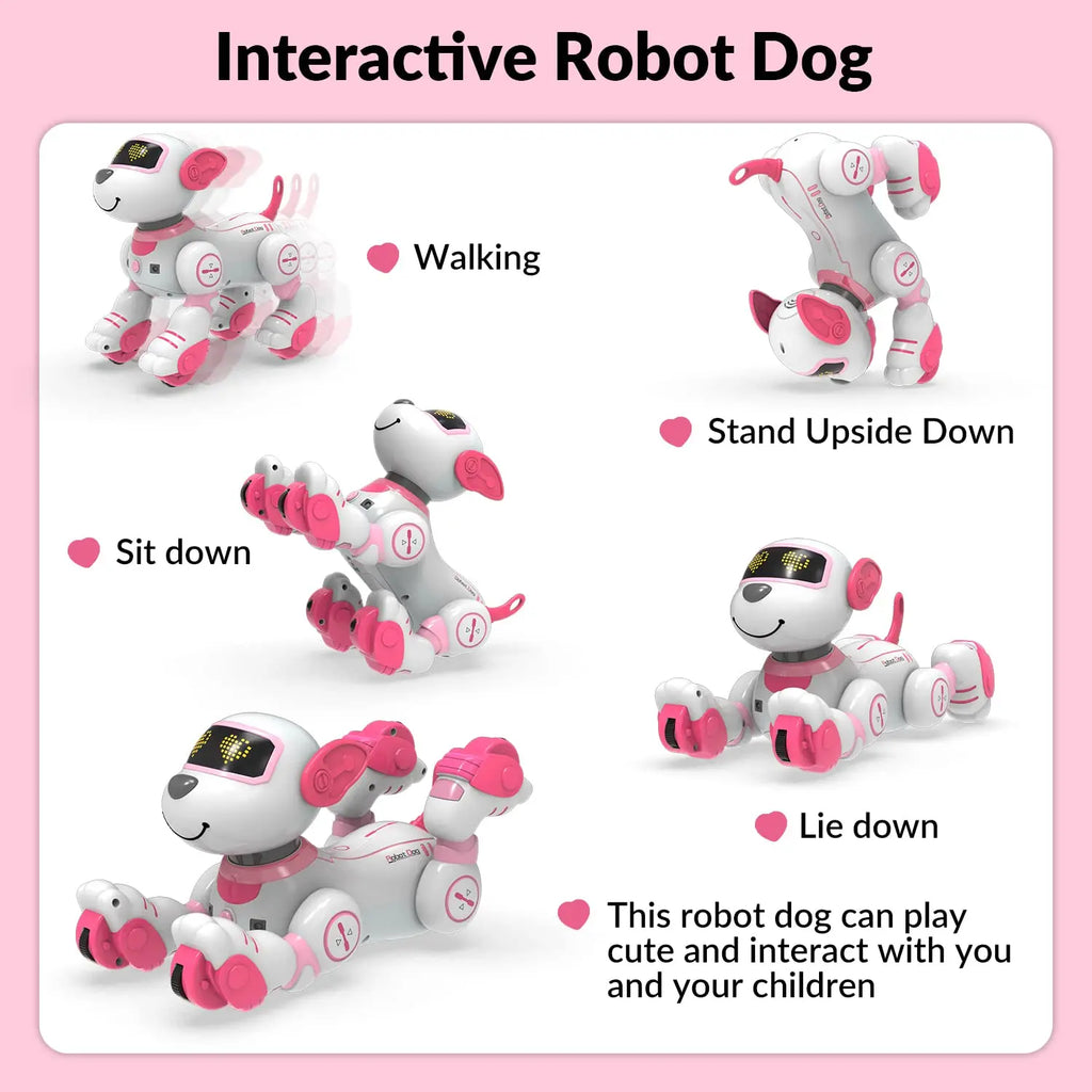 Future Engineer Robot Dog RO01 – Dopaman™