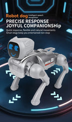 Future Engineer Robot Dog RO01 – Dopaman™