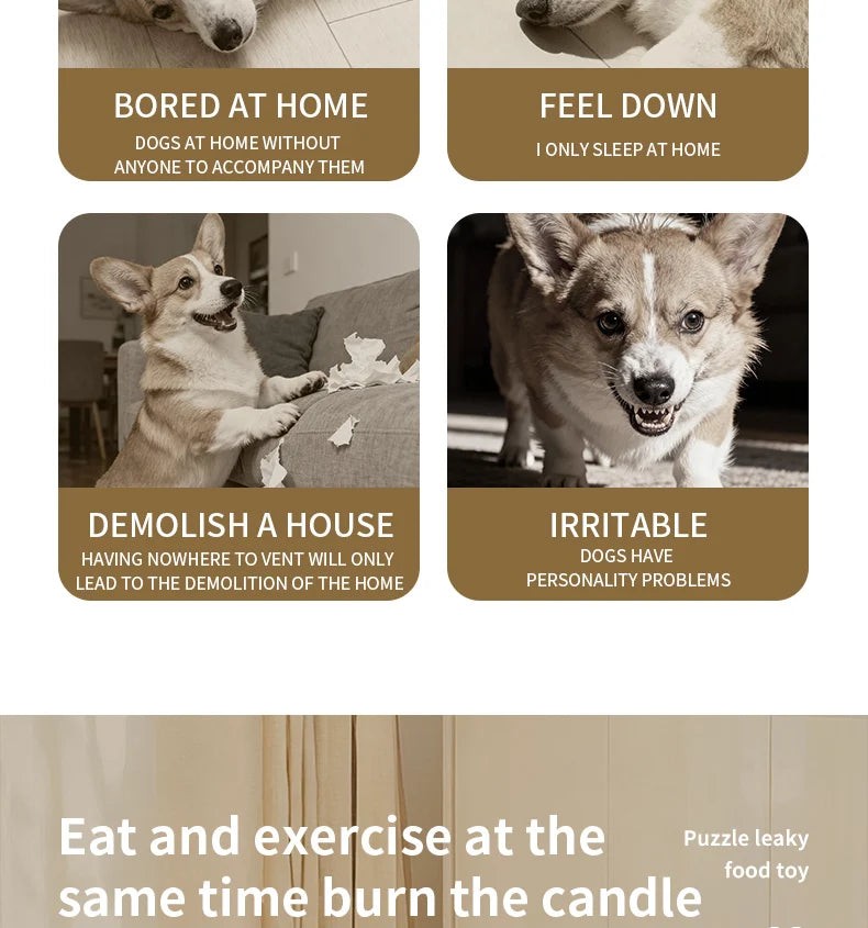 PlayPal Dog Toy PT01 – Dopaman™