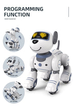 Future Engineer Robot Dog RO01 – Dopaman™