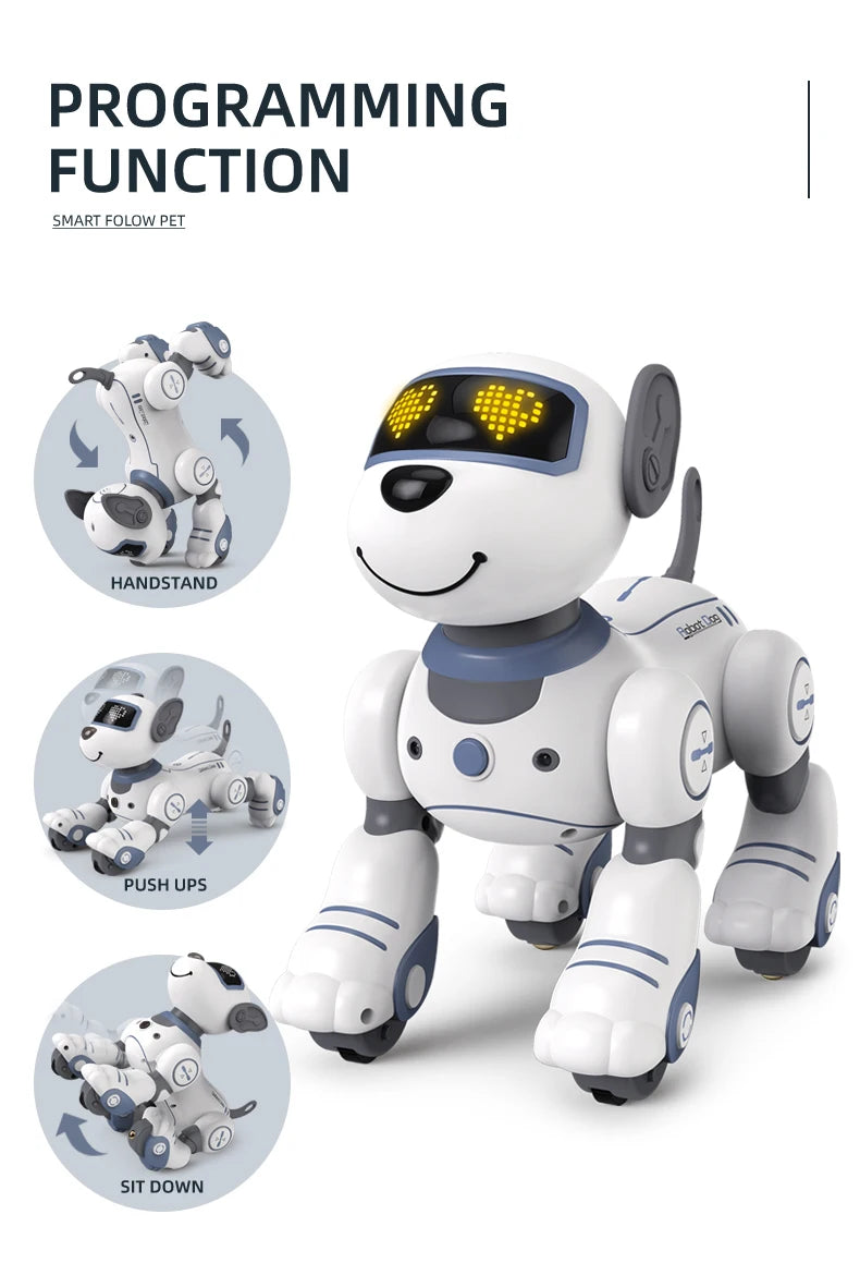 Future Engineer Robot Dog RO01 – Dopaman™