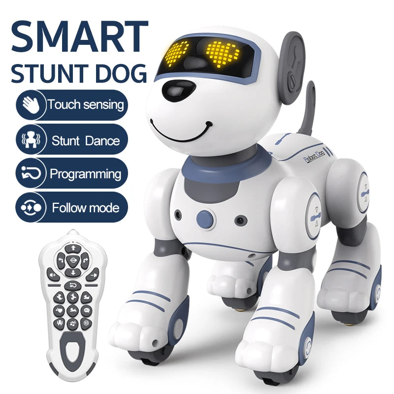 Future Engineer Robot Dog RO01 – Dopaman™