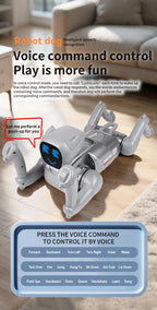 Future Engineer Robot Dog RO01 – Dopaman™