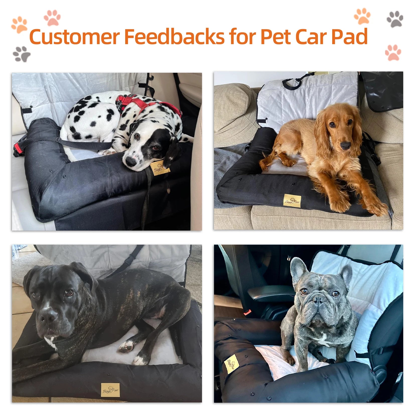 Pet Spa Grooming Tool PT02 – Dopaman™