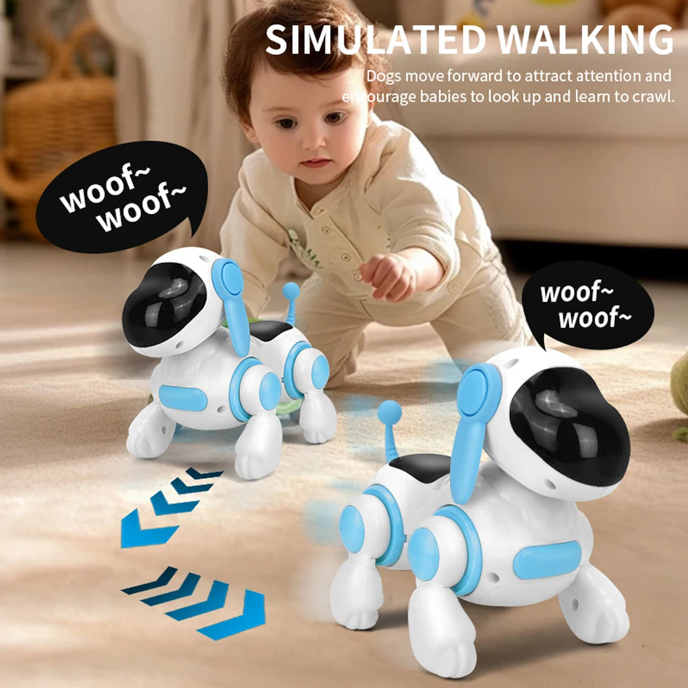 Pet Playtime Robot PT01 – Dopaman™