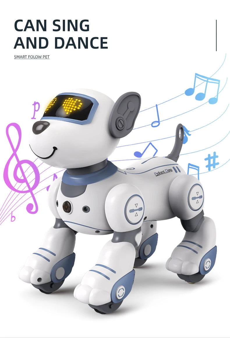 Future Engineer Robot Dog RO01 – Dopaman™