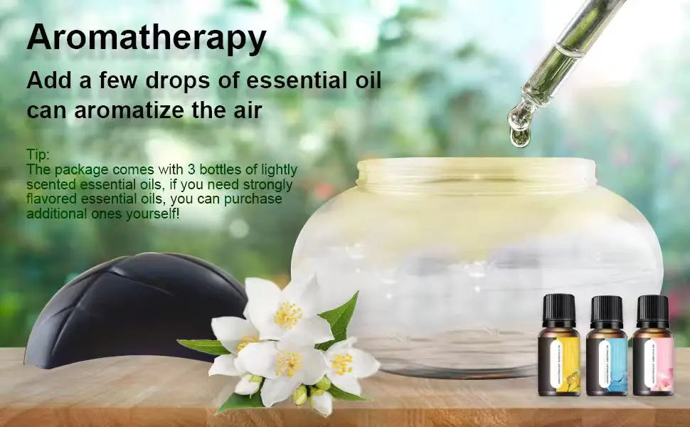 Christmas Gift purifier SH01  – Dopaman™