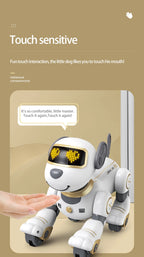 Future Engineer Robot Dog RO01 – Dopaman™