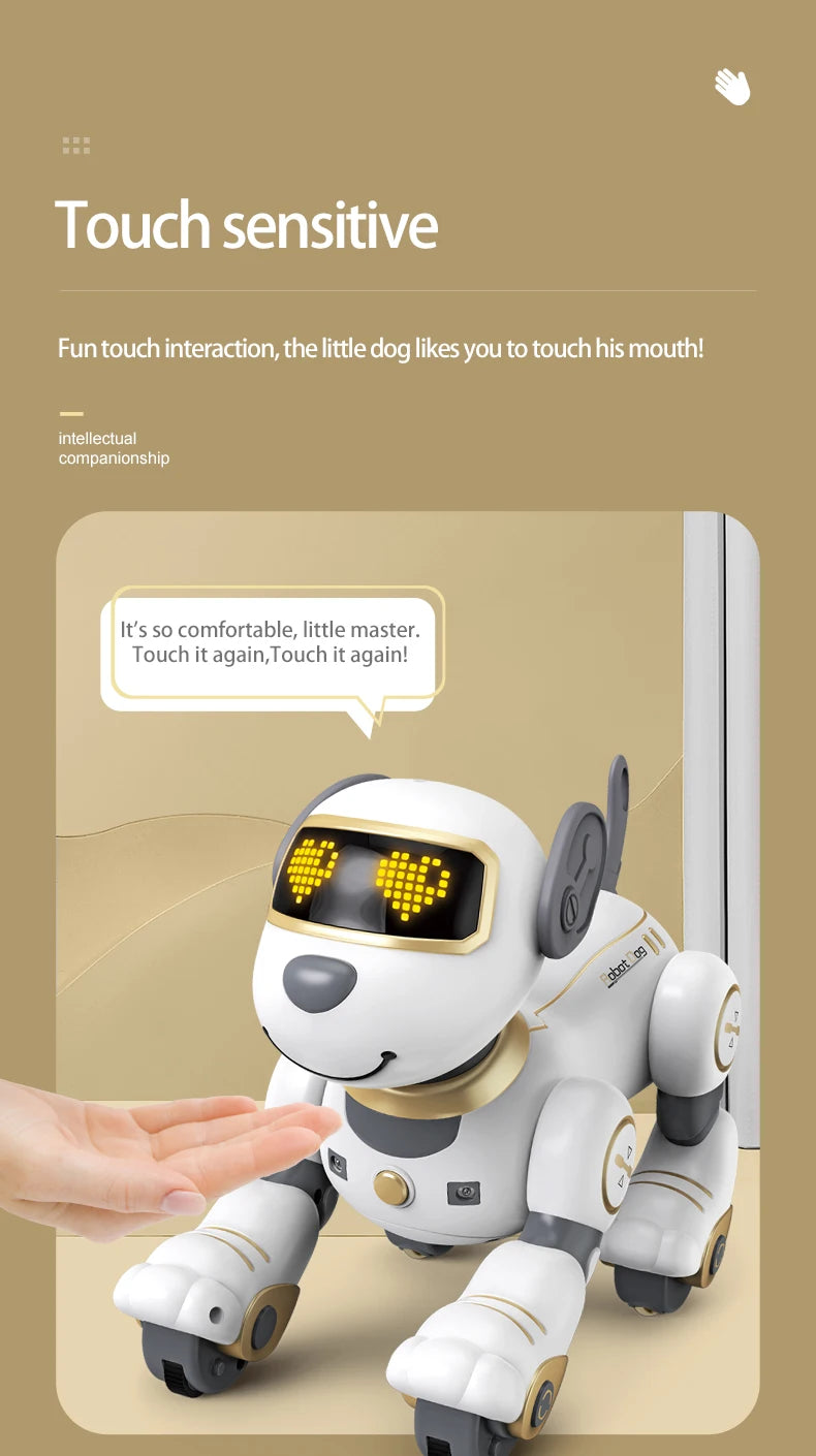 Future Engineer Robot Dog RO01 – Dopaman™