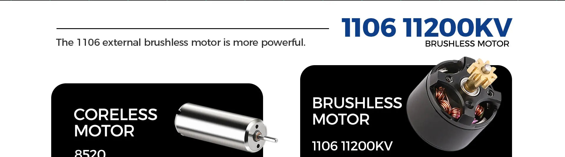 Fan Collectible Collectible OP03 – Dopaman™