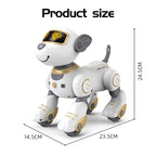 Future Engineer Robot Dog RO01 – Dopaman™