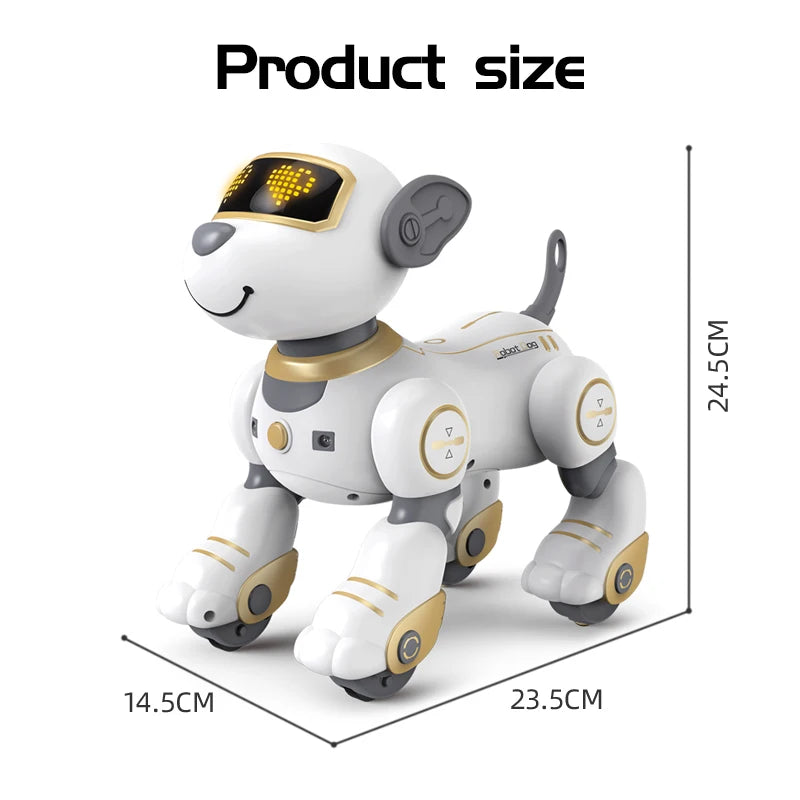 Future Engineer Robot Dog RO01 – Dopaman™