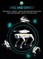 Tech Builder Robot Dog RO01 – Dopaman™