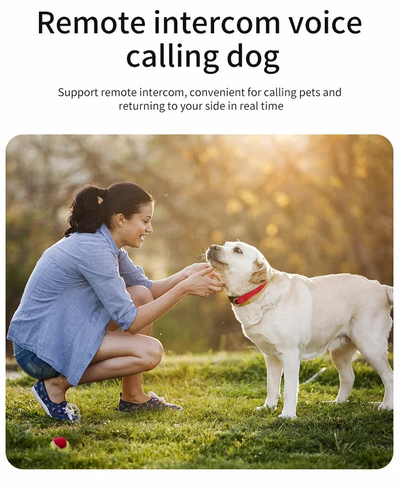 Grooming Master Grooming Tool PT02 – Dopaman™