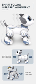 Future Engineer Robot Dog RO01 – Dopaman™