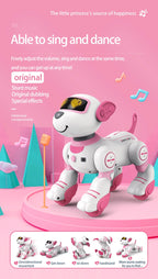 Future Engineer Robot Dog RO01 – Dopaman™