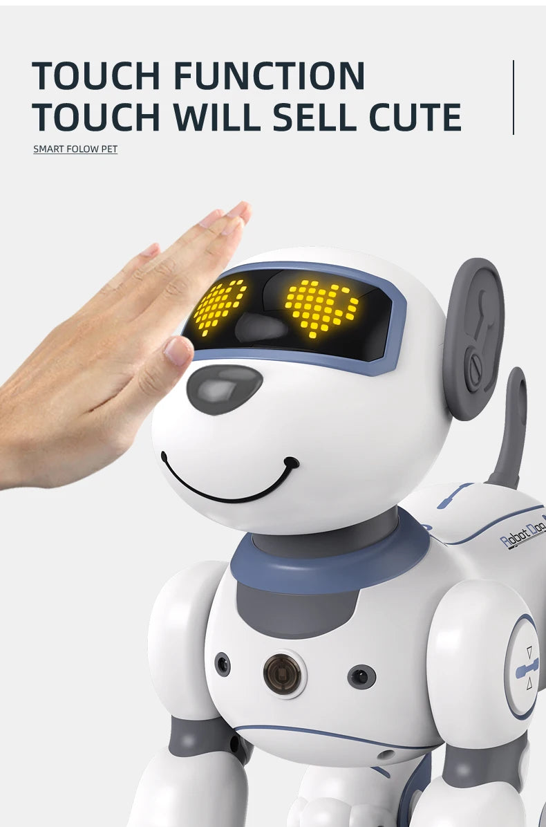 Future Engineer Robot Dog RO01 – Dopaman™