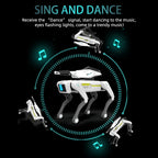 Tech Builder Robot Dog RO01 – Dopaman™