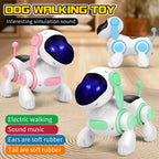 Pet Playtime Robot PT01 – Dopaman™