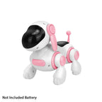 Pet Playtime Robot PT01 – Dopaman™
