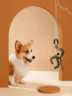 Pet Playtime Dog Toy PT01 – Dopaman™