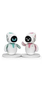 Robo Lab Robot RO01 – Dopaman™