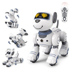 Future Engineer Robot Dog RO01 – Dopaman™