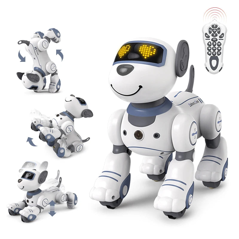 Future Engineer Robot Dog RO01 – Dopaman™