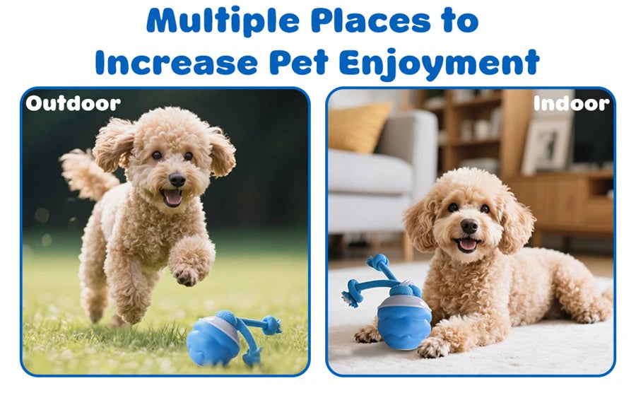 Pup Joy Dog Toy PT01 – Dopaman™